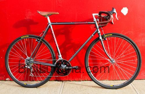 Schwinn Voyageur ficha técnica y opiniones